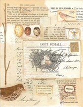 Histoire Naturelle Papers 1 small
