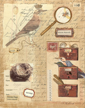 Histoire Naturelle Papers 3 small