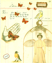 Histoire Naturelle Papers 4 small