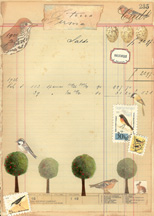 Histoire Naturelle Papers 9 small