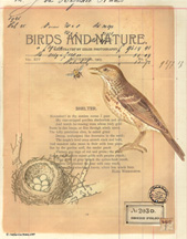 Nesting Grounds Papers 3 small