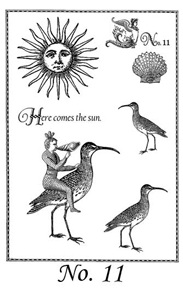 She Sells Sea Shells Stamp Set 11 small