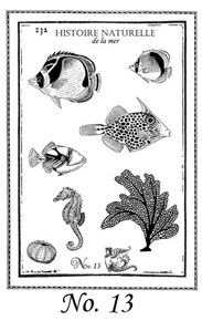 She Sells Sea Shells Stamp Set 13 small
