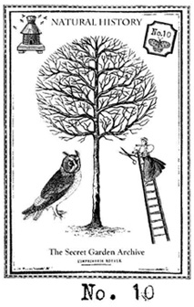 The Bee Keeper's Tea Stamp Set 10 small