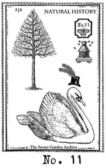 The Bee Keeper's Tea Stamp Set 11 small